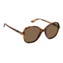 Polaroid Sunglasses Havana 20533808654SP