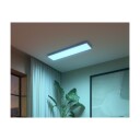 Philips Hue WCA Surimu Lyspanel 30x120 60W - 60667