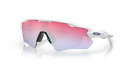 Oakley Radar Ev Path Polished White w/Prizm Sapphire Snow, multisportbrille STD White w/ PRIZM Sapph