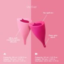 INTIMINA Lily Cup A window Menstrual cup A