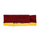 OTL Technologies Harry Potter Audioband