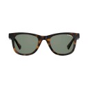 Polaroid Sunglasses Havana 20298308650UC