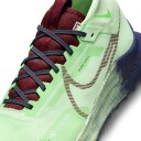 Nike Pegasus Trail 4 GORE-TEX Herre Vapor Green/Dark Team Red/Thunder Blue 43