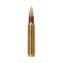 Norma 30-06 Range & Training FMJ 9,7 gram (15,90 pr stk)