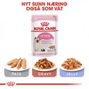 Royal Canin Kitten - 2 kg