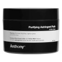 Anthony Purifying Astringent Pads