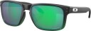 Oakley Holbrook Jade Fade W/Prizm Jade OS