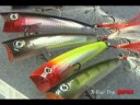 Rapala X-Rap Pop 7 cm popper - CGH