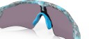 Oakley Radar Ev Path Sanctuary Swirl/prizm Grå No Size