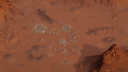 Survivin Mars