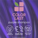 Biolage PURple Shampoo 250ml