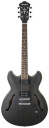 Ibanez AS53-TKF B-Stock