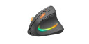 Speedlink - PIAVO PRO Illuminated Rechargeable Vertical Ergonomic Mouse - wireless, rubber-black