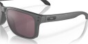 Oakley Holbrook B/Steel W/Prizm Daily Polarized OS