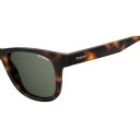 Polaroid Sunglasses Havana 20298308650UC