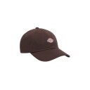 Dickies Cap Hardwick Brun