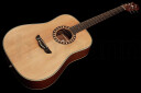 Harley Benton HB Custom Line CLD-10S NS