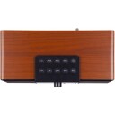 Telestar DIRA S32i - Multifunksjonell Stereoradio - CD-spiller - DAB+ - Internett - Bluetooth Wood Design