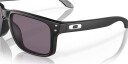 Oakley Holbrook Matte Black