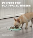 Outward Hound - Fun Feeder Slow Tray - Mint - Large (645.5560)