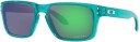 Oakley Holbrook XS Transparen Artic Surf