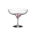 Kosta Boda Sugar Dandy coupeglass 32 cl Rosa