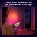 Philips Hue WCA Gradient Lightstrip Utvidelse - 60542