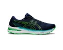 Asics GT-2000 10 42