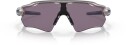 Oakley Radar Ev Path C/Holographic Prizm Grey