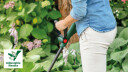 BOSCH GRESSTRIMMER EASY 23CM 18V 2,0AH