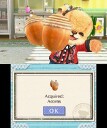 Teddy Together  (3DS)