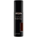 L'Oreal Professionnel Hair Touch Up Brown 75ml