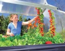 Canopia Small greenhouse with storage Palram