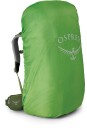 Osprey Ace 75 Venture Green OS