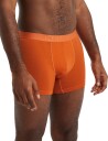 Icebreaker Anatomica Cool-Lite Boxer Ms Earth M