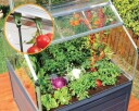 Canopia Small greenhouse with storage Palram