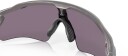 Oakley Radar Ev Path C/Holographic Prizm Grey