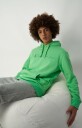 Champion Rochester Hooded Sweatshirt Herre Spring Boquet L