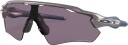 Oakley Radar Ev Path C/Holographic Prizm Grey