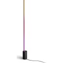 Philips Gradient Signe floor black EU