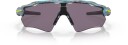 Oakley Radar Ev Path Sanctuary Swirl/prizm Grå No Size